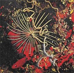 Жак-Ив Кусто, Филипп Диоле - Жизнь и смерть кораллов