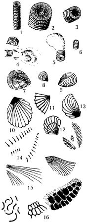 Павел Мариковский - В стране каменных курганов и наскальных рисунков