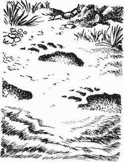 Дмитрий Харламов - Сказание о верном друге