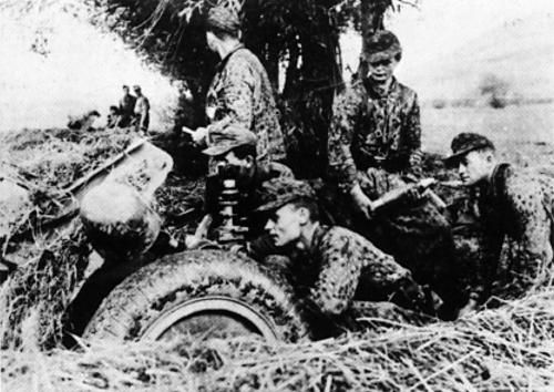 Константин Залесский - СС. Охранные отряды НСДАП