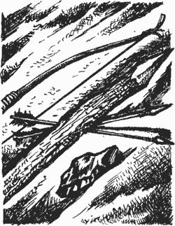 Дмитрий Харламов - Сказание о верном друге