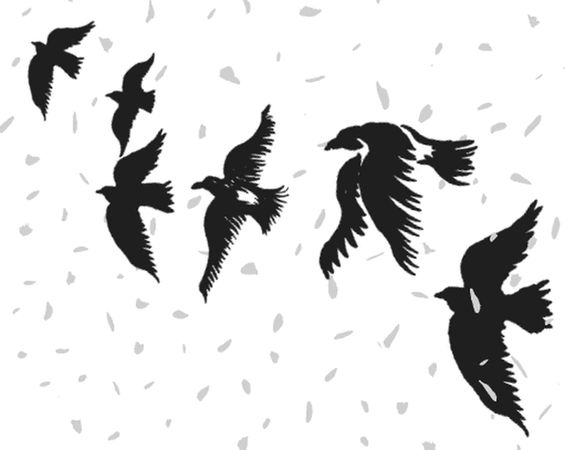 Ирина Краева - Баба Яга пишет (сборник)