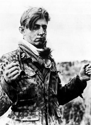 Константин Залесский - СС. Охранные отряды НСДАП