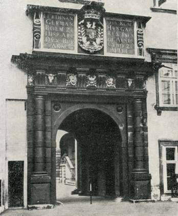 Марина Сененко - Вена