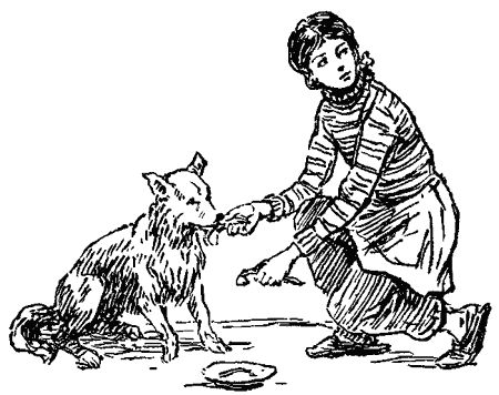 Анастасия Перфильева - Пять моих собак