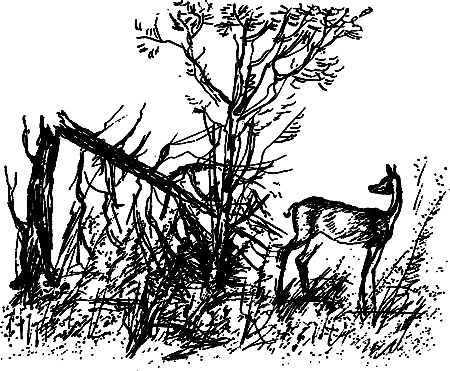 Семен Каратов, Сергей Писарев - Земля мамонтов