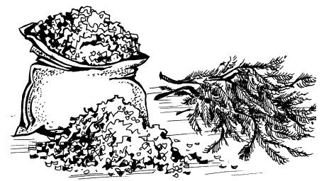 Максим Жмакин - Готовим участок к зиме