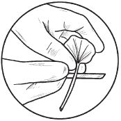 Галина Серикова - Комнатные деревья и кустарники: лимон, вишня, гранат,...