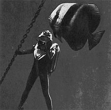 Жак-Ив Кусто, Филипп Диоле - Жизнь и смерть кораллов