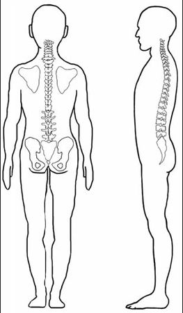 Виктор Ченцов - Первая скрипка позвоночника