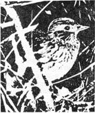 Леонид Семаго - Перо ковыля