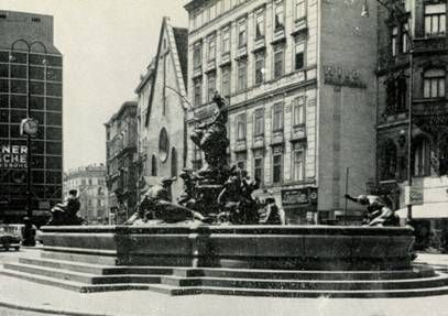 Марина Сененко - Вена