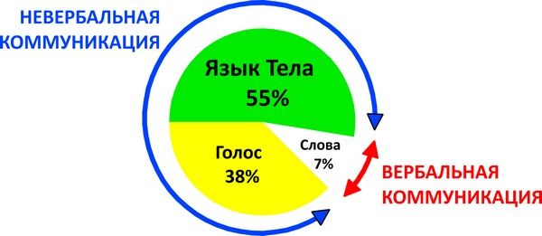 Александр Любимов - Мастерство коммуникации