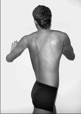 Виктор Ченцов - Первая скрипка позвоночника