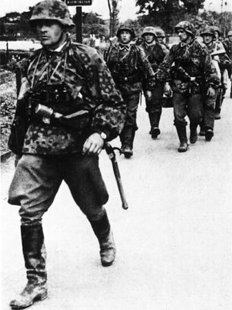 Константин Залесский - СС. Охранные отряды НСДАП