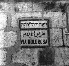 Михаил Каценельсон - Прогулки по Иерусалиму