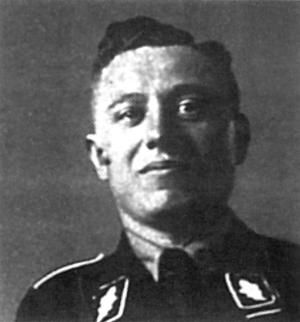 Константин Залесский - СС. Охранные отряды НСДАП