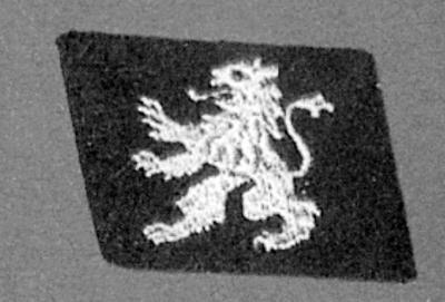 Константин Залесский - СС. Охранные отряды НСДАП