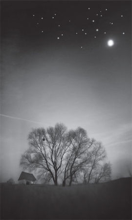 Делия Стейнберг Гусман - Игры Майи