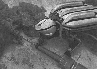 Жак-Ив Кусто, Филипп Диоле - Жизнь и смерть кораллов