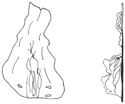 Дмитрий Невский - Магия свечей. Обряды очищения и защиты
