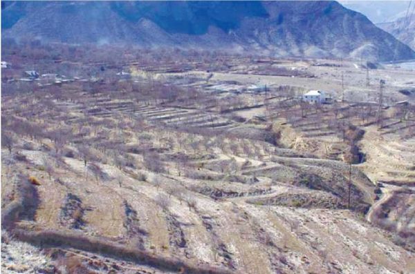 Амри Шихсаидов - Дагестанские святыни. Книга третья