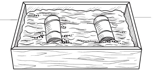 Галина Серикова - Комнатные деревья и кустарники: лимон, вишня, гранат,...