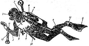 Жак-Ив Кусто, Филипп Диоле - Жизнь и смерть кораллов