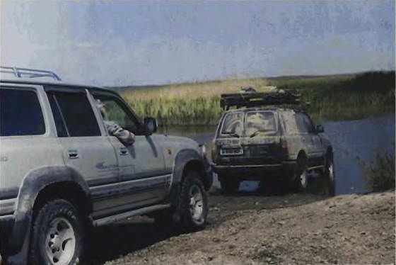 Павел Мариковский - В стране каменных курганов и наскальных рисунков