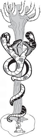 Виктор Карев - 500 научных фактов, которые вас удивят