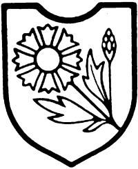 Константин Залесский - СС. Охранные отряды НСДАП