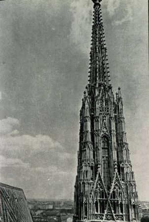 Марина Сененко - Вена