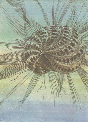 Ирина Яковлева, Владимир Яковлев - По следам минувшего