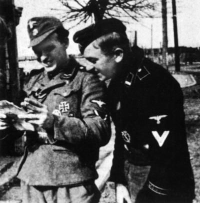 Константин Залесский - СС. Охранные отряды НСДАП