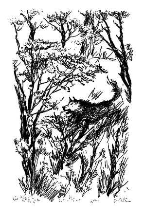 Семен Каратов, Сергей Писарев - Земля мамонтов