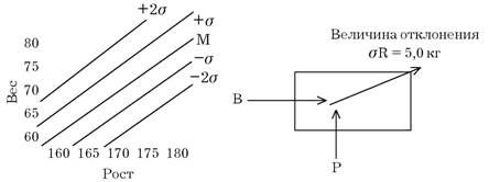 Эдуард Сакун - Построение учебного процесса по физическому воспитанию студентов...
