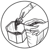 Галина Серикова - Комнатные деревья и кустарники: лимон, вишня, гранат,...