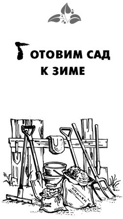 Максим Жмакин - Готовим участок к зиме