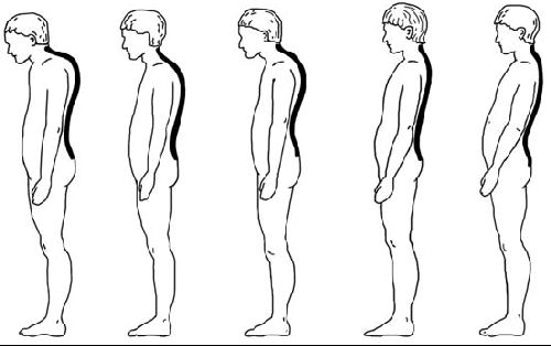 Виктор Ченцов - Первая скрипка позвоночника