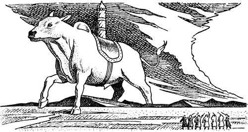 Курт Давид - Черный Волк. Тенгери, сын Черного Волка