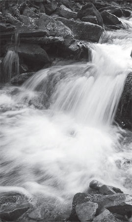 Делия Стейнберг Гусман - Игры Майи