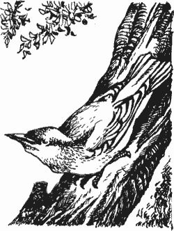 Дмитрий Харламов - Сказание о верном друге