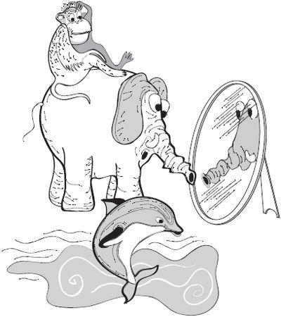 Виктор Карев - 500 научных фактов, которые вас удивят