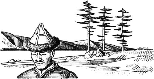 Курт Давид - Черный Волк. Тенгери, сын Черного Волка