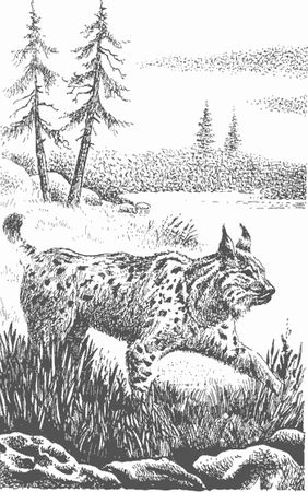 Дмитрий Харламов - Сказание о верном друге