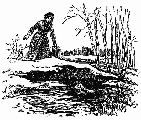 Анастасия Перфильева - Пять моих собак