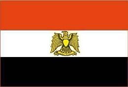 Ирина Бурдукова, Анатолий Чистяков и др. - Политические и избирательные системы...