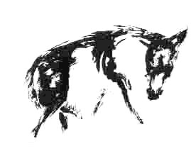 Игорь Голубенцев - Благоприятные приметы для охоты на какомицли