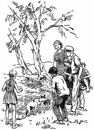 Анастасия Перфильева - Пять моих собак