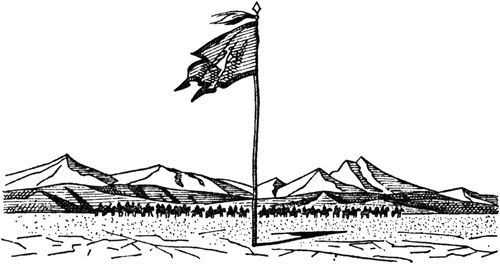 Курт Давид - Черный Волк. Тенгери, сын Черного Волка